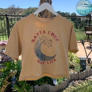 ~SANTA CRUZ~ Cropped Tee